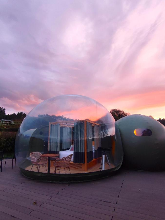 Hotel Luzada - Glamping Burbujas Galicia Juances Exterior foto